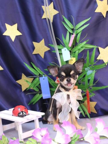 20230711にこくん